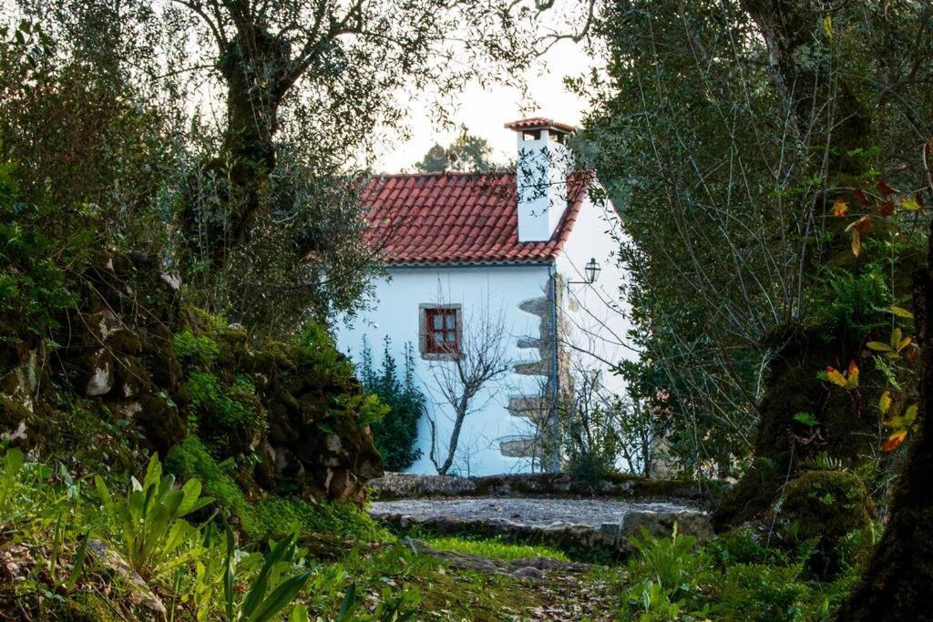 Casa Do Vale Do Papo Villa Pombal  Eksteriør billede